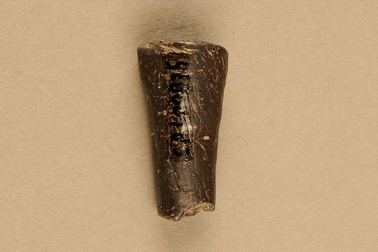 Conoce la pieza destacada del mes del Museo del Limarí: Silbatos de piedra