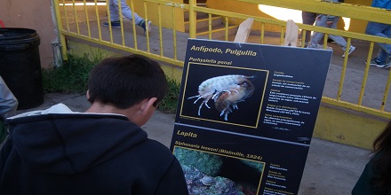 Muestras y talleres de ciencia marcan el día de la Educación Pública en La Serena