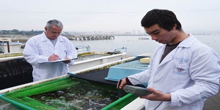 Facultad de Ciencias del Mar UCN trabaja en implementar proyecto docente