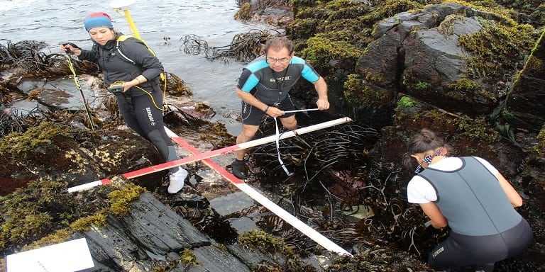 Entrevista al Dr. Julio Vásquez: Una vida ligado al mar