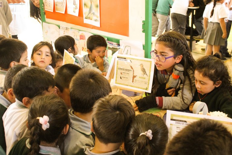 Más de 50 estudiantes de la región participarán de un nuevo Congreso Escolar de Ciencia