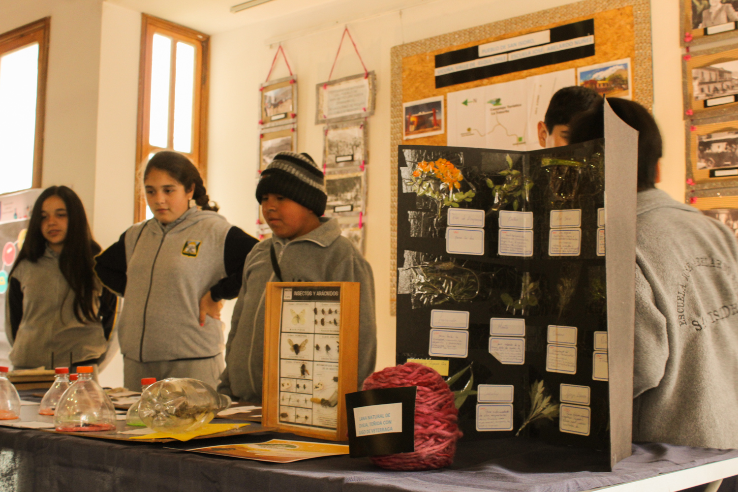 Estudiantes de la región exhiben sus trabajos sobre patrimonio cultural y natural en la ciudad de Ovalle