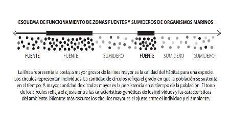 La opinión de la ciencia: Zonas Fuentes y Sumideros de organismos marinos