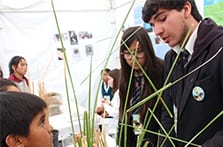 La ruta de la fascinación por investigar