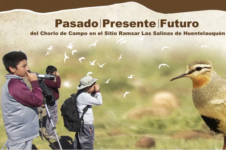Escuela de Huentelauquén Norte lanza libro sobre la historia del Chorlo de Campo