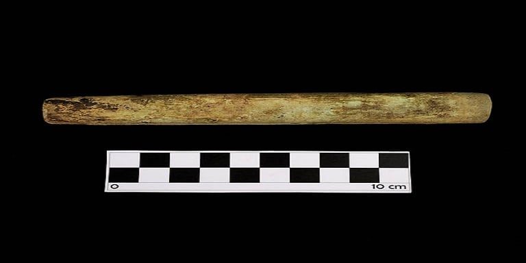 Conoce la pieza destacada del mes del Museo del Limarí: Tubos de hueso “Copuna”