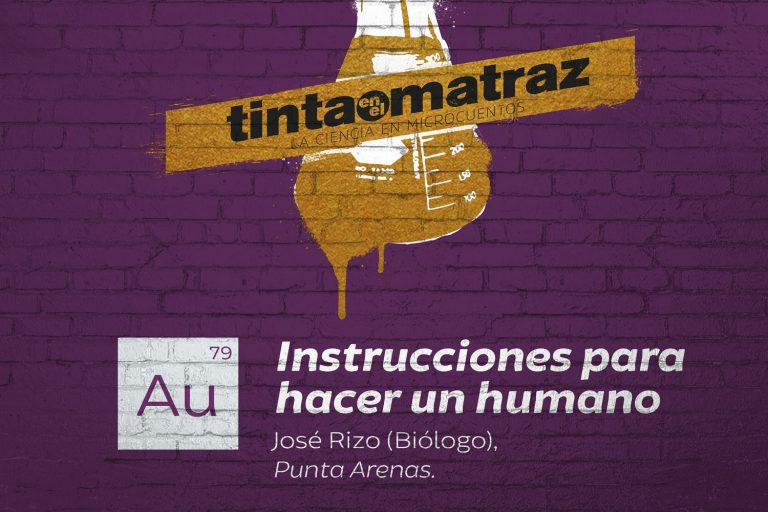“Tinta en el Matraz”: Ya están los ganadores de la primera versión del concurso nacional de microcuentos científicos
