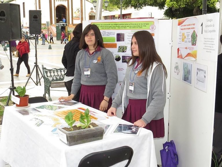 Seis clubes se adjudicaron los fondos para desarrollar los CAICE 2015