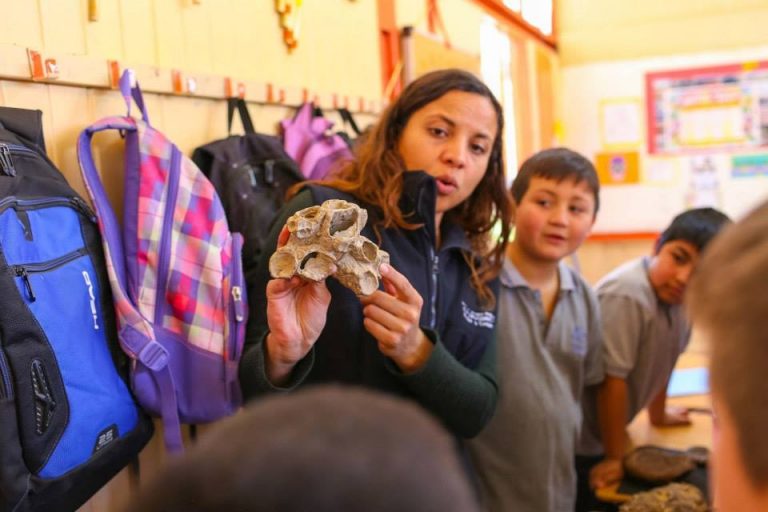 Muestra de Fósiles: Conociendo el origen del planeta
