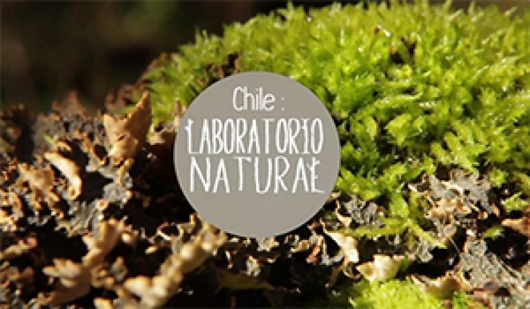 TVN: 22 de febrero un nuevo capítulo de “Chile: Laboratorio natural”