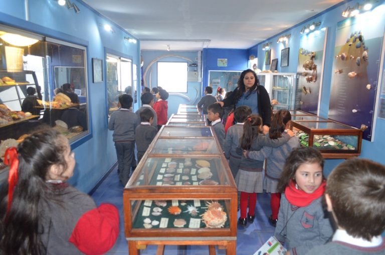 Este jueves se realizará la 1° Feria del Mar Guayacanina organizada por la UCN