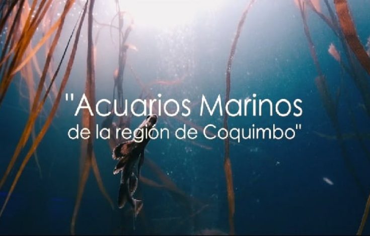 documental-acuarios