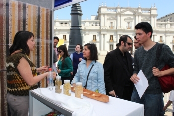 Lupino dulce, un sustituto para la soya