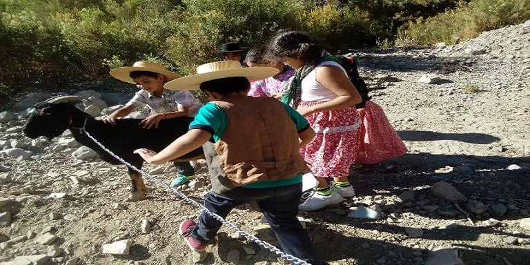 Escuela Frontera de Las Ramadas de Tulahuén inició sus actividades del CAICE 2017