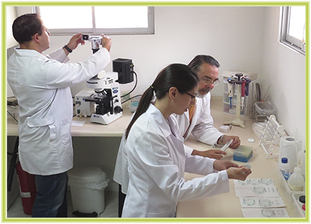 ¿Sabías qué?… Qué es la Criopreservación