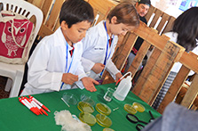 Pequeños estudiantes de la región mostraron sus experiencias científicas