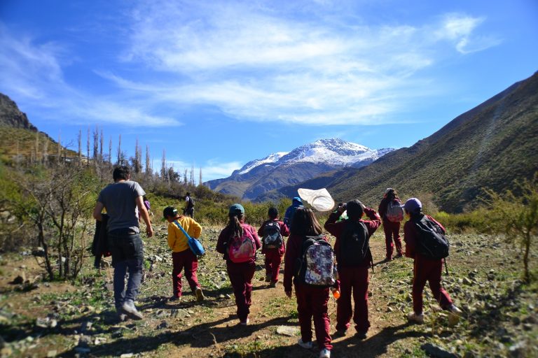 Opinión: La investigación científica escolar como valor agregado para los recursos naturales de Chile