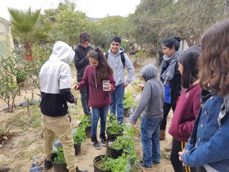 La investigación científica escolar puede ser una herramienta de cambio en la sociedad