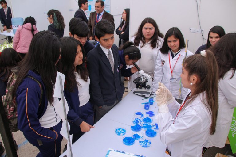 Estudiantes de Ovalle y Monte Patria se lucieron con sus investigaciones en evento científico escolar