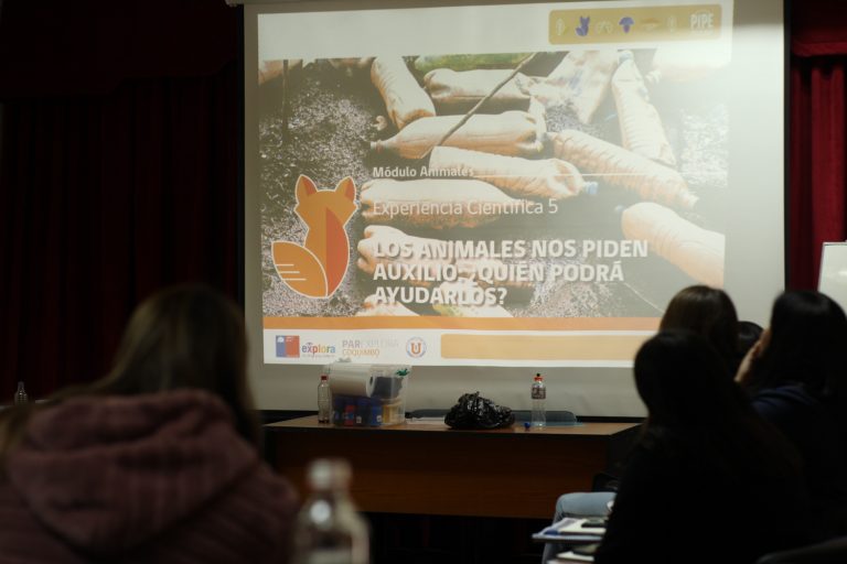 Educadoras de la Región se capacitaron en la iniciativa PIPE