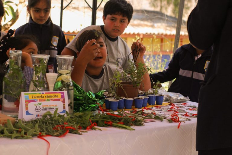 Estudiantes de Chilecito pudieron mostrar sus experiencias científicas en su Semillero de Divulgación