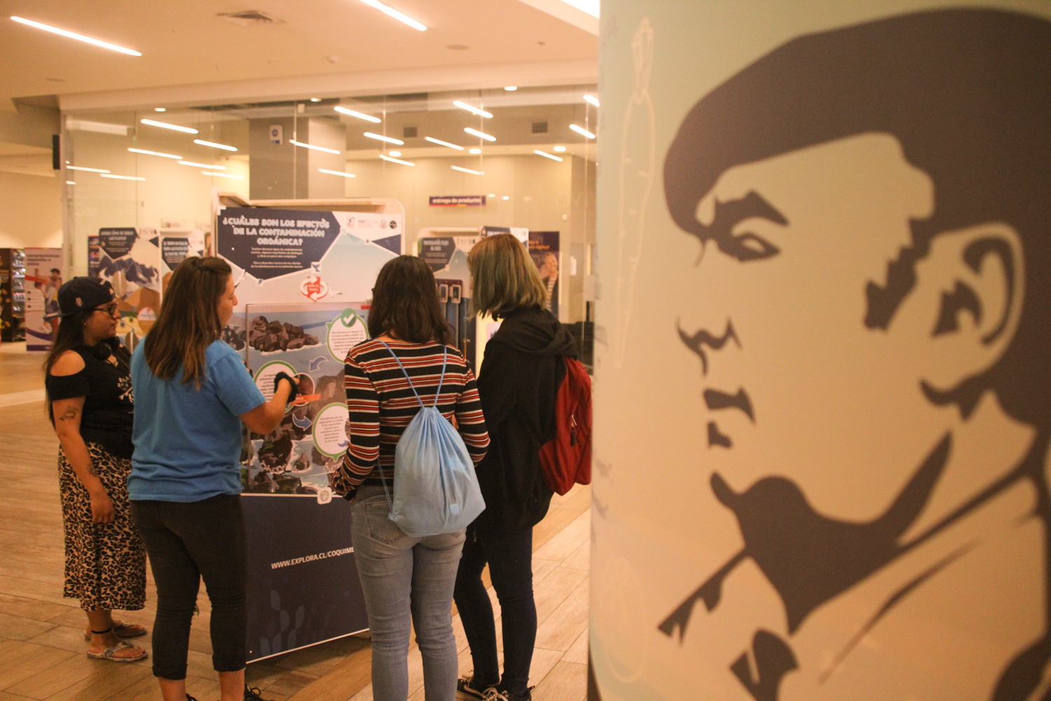 Desde este viernes Ovalle vibrará con interesantes exhibiciones científicas sobre hormigas y los océanos