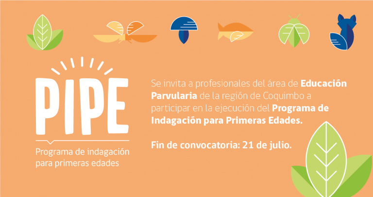 Dan a conocer los resultados de inscripción al Programa PIPE 2020