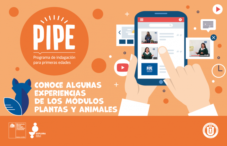 Conoce más de las experiencias PIPE con estas didácticas actividades del módulo plantas y animales