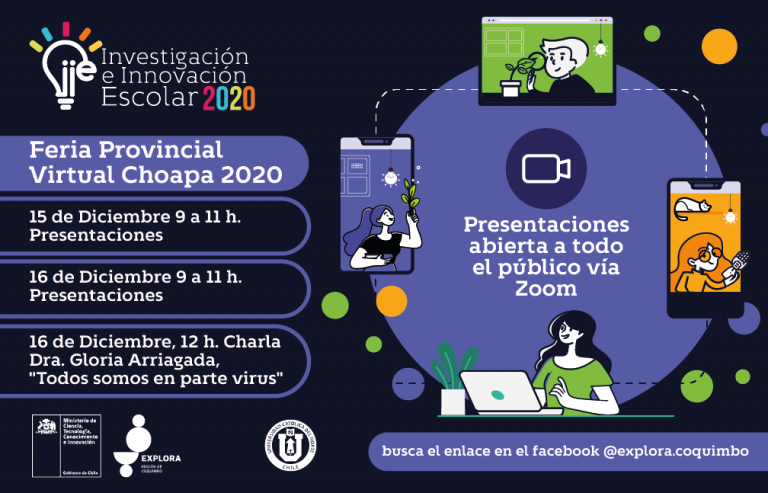 Conoce cuáles serán los proyectos que se presentarán en la Feria Provincial Virtual del Choapa 2020
