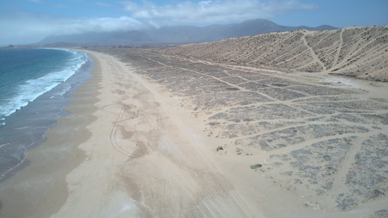 Columna de opinión: Valoremos nuestro hermoso patrimonio biocultural