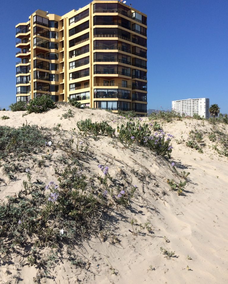 Columna de opinión: Una oportunidad para nuestras costas