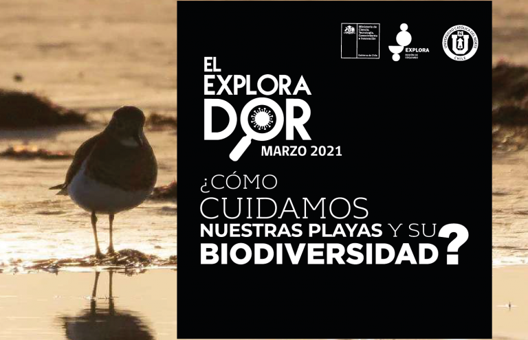 Aprende más sobre la biodiversidad costera en esta nueva edición de la Revista El Explorador