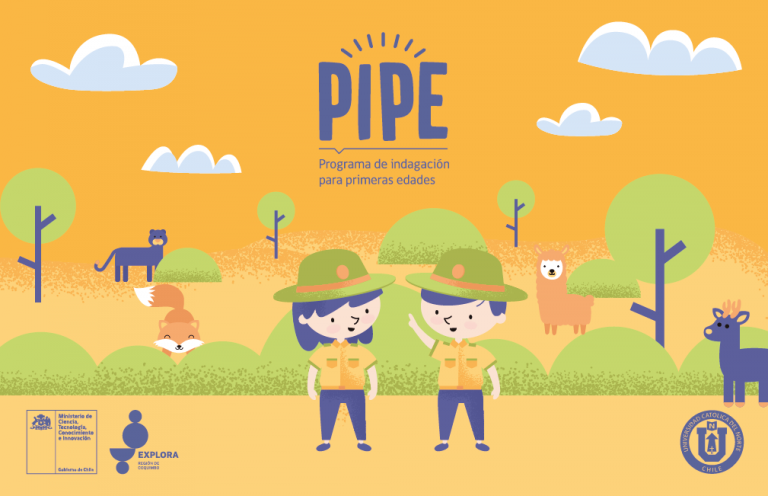 PIPE 2021 comenzó con gran participación de educadoras de las regiones de Coquimbo y Valparaíso