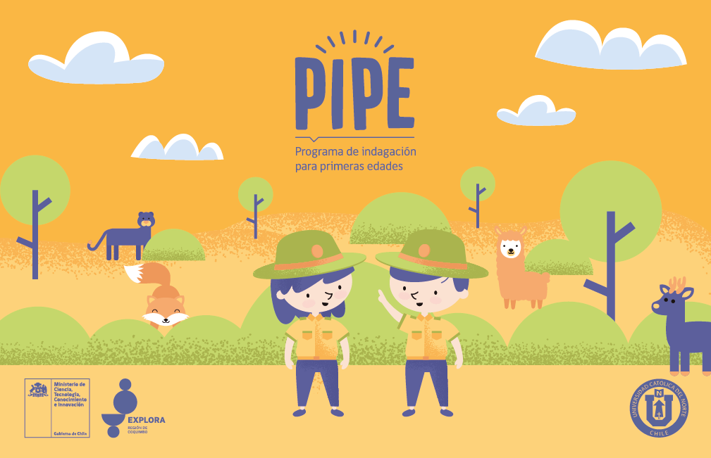 PIPE 2021 comenzó con gran participación de educadoras de las regiones de Coquimbo y Valparaíso