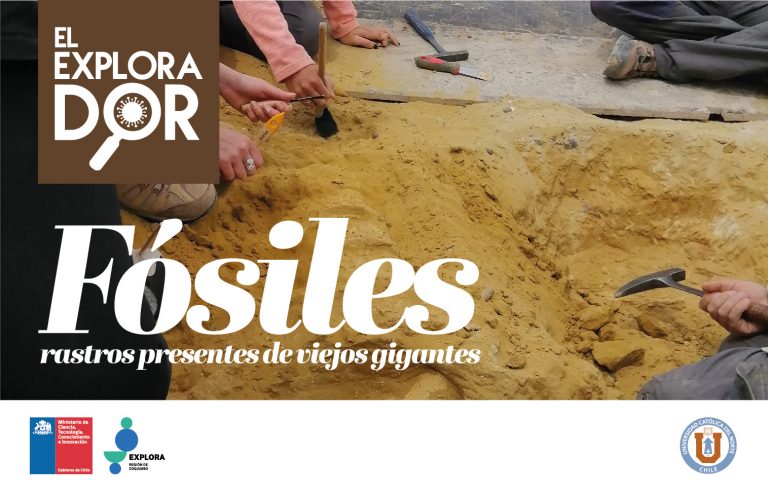 Revista El Explorador viaja al pasado del clima y animales de la zona en su nueva edición