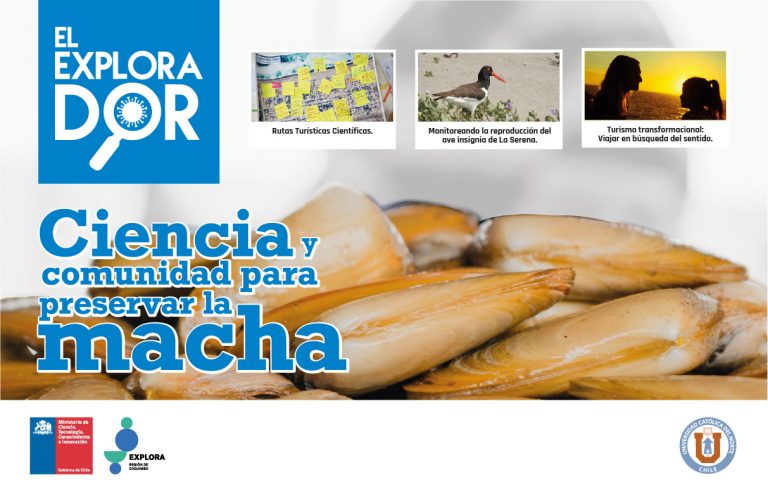 El Explorador muestra el trabajo conjunto entre ciencia  y comunidad para preservar la macha en Caleta San Pedro
