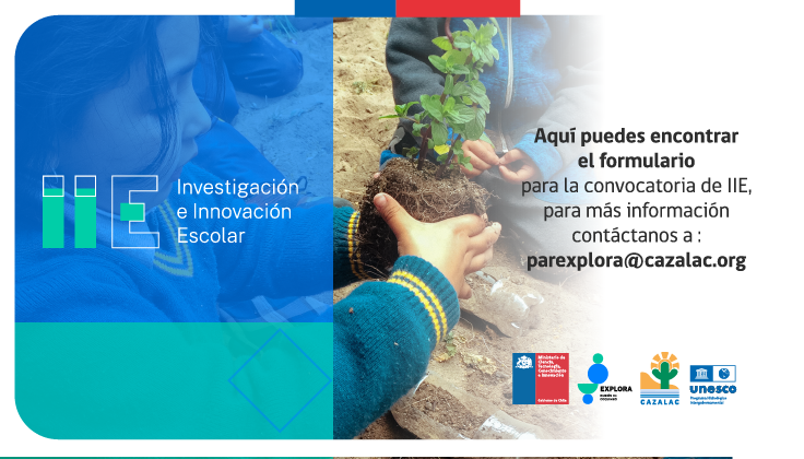 ¡Postula al Programa IIE aquí!
