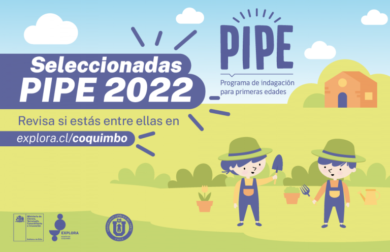 Conoce a las seleccionadas para PIPE 2022