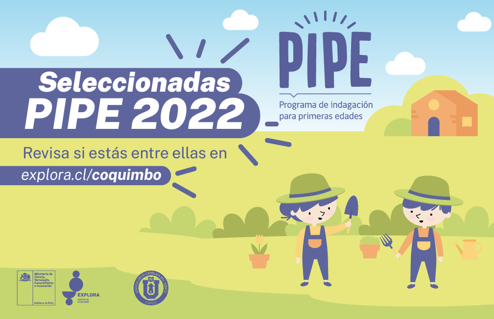 Conoce a las seleccionadas para PIPE 2022