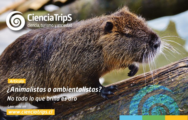 Columna de Opinión: ¿Animalistas o ambientalistas? No todo lo que brilla es oro