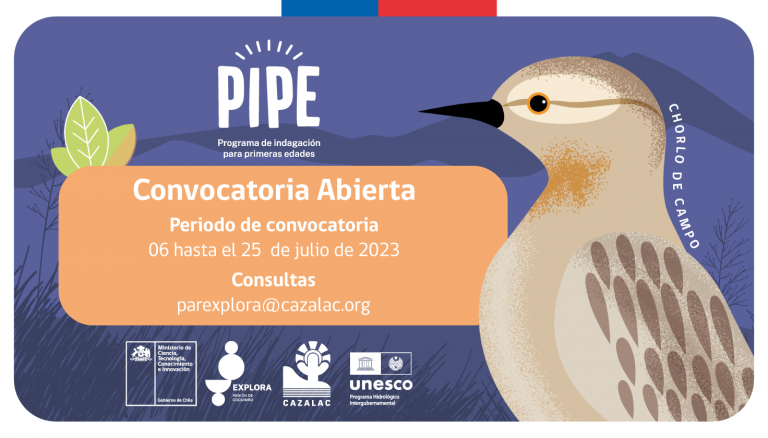 ¡Se encuentra abierta la convocatoria para PIPE!