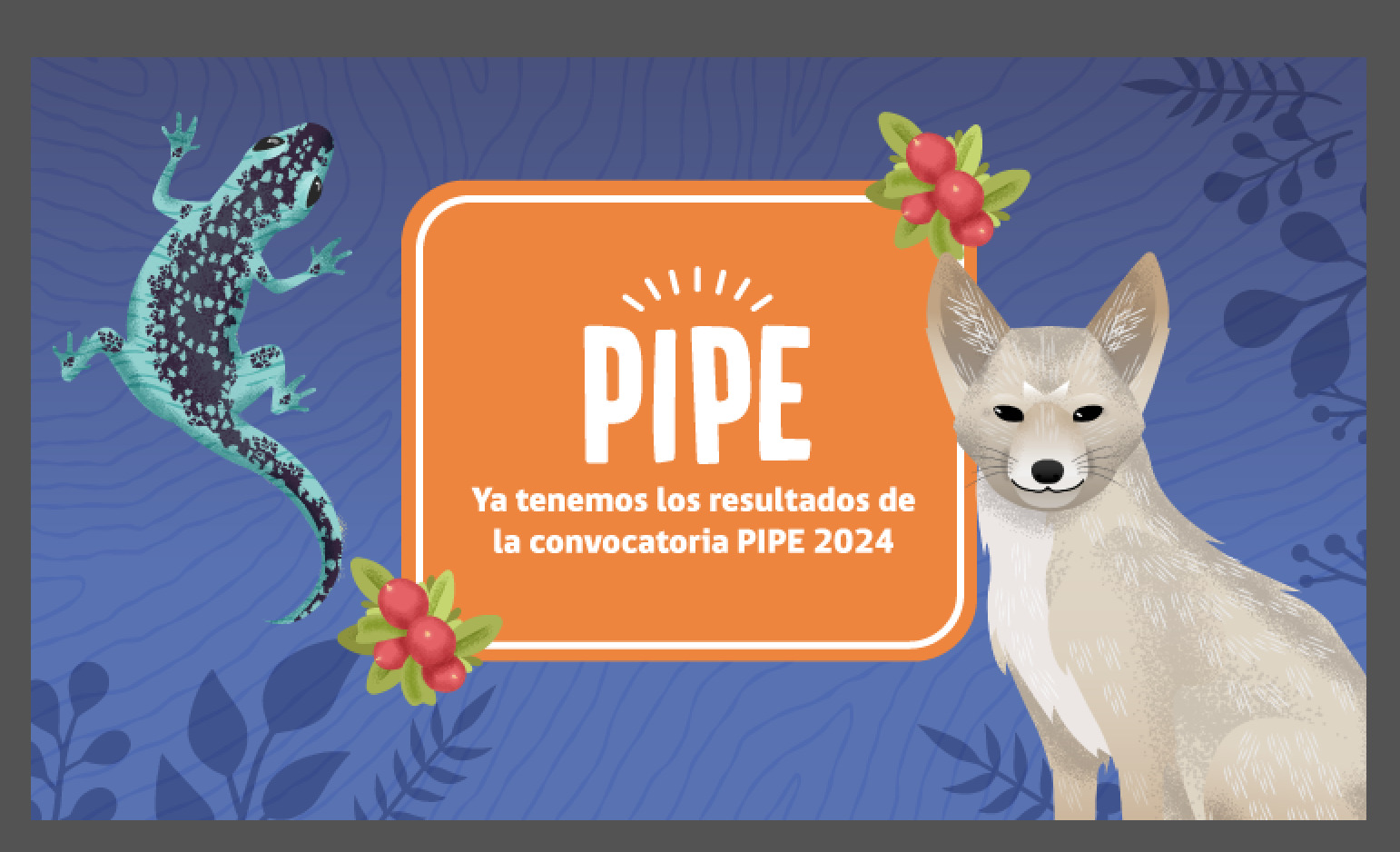 Conoce los resultados de la convocatoria PIPE 2024