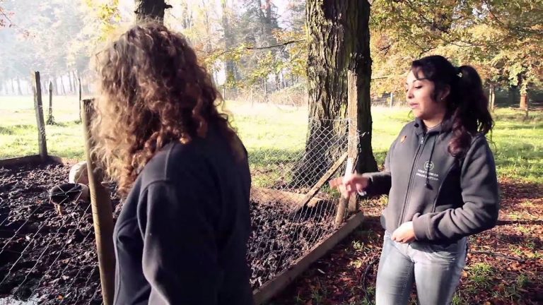 Las Energías Renovables protagonizan PURA CIENCIA