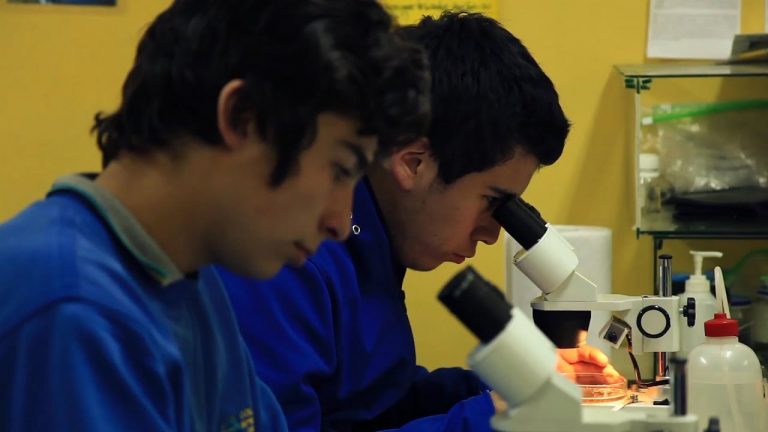 La Ecología es el tema central del nuevo capítulo de “Pura Ciencia”