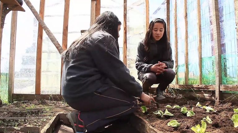 ¿A qué se debe el calentamiento global?