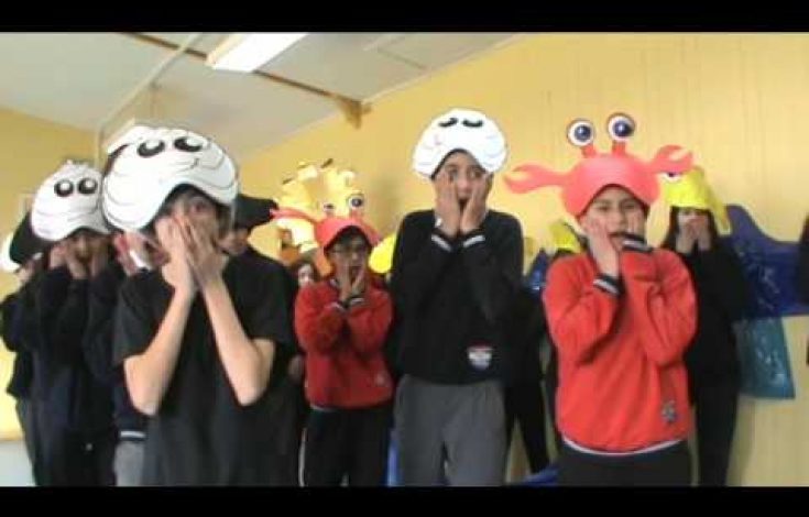 Liceo Bicentenario de Ancud gana concurso regional de video de EXPLORA CONICYT