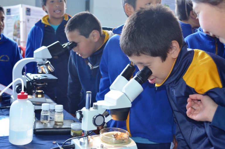 Científicos escolares participarán en Congreso Regional EXPLORA 2016