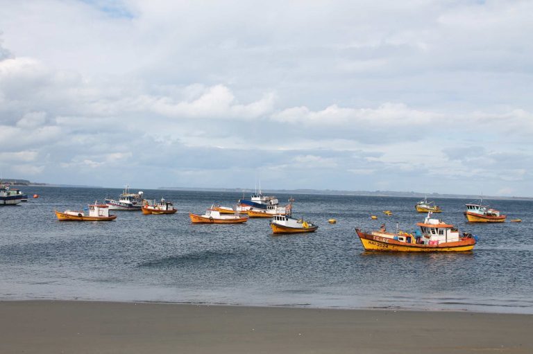 Gestión integral y sustentable para mejorar la calidad de áreas litorales