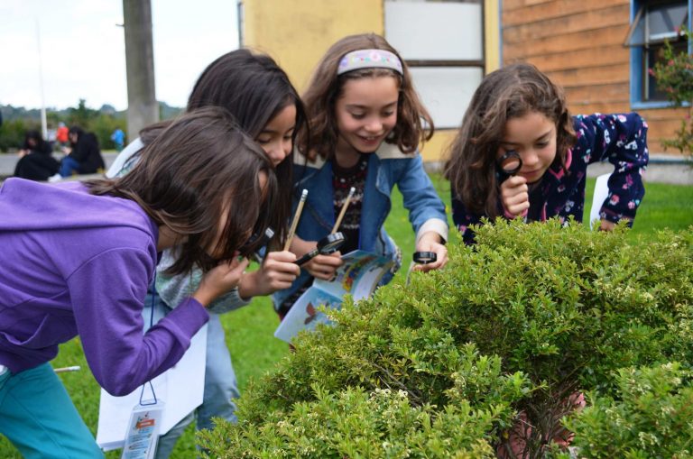 La ciencia entretenida se vivió en campamento “EXPLORA Tu Verano”