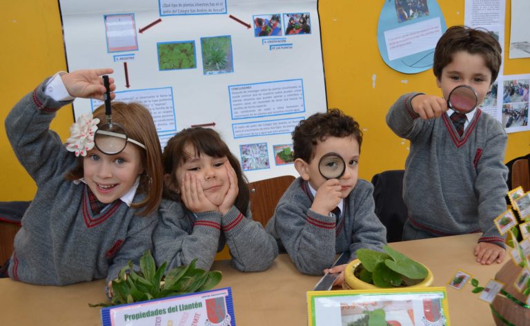 Encuentro Regional “MEGA Científicos” reunirá a pequeños investigadores escolares